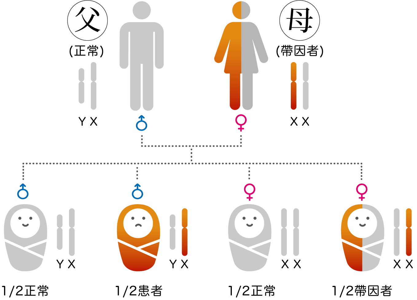 带因者筛检