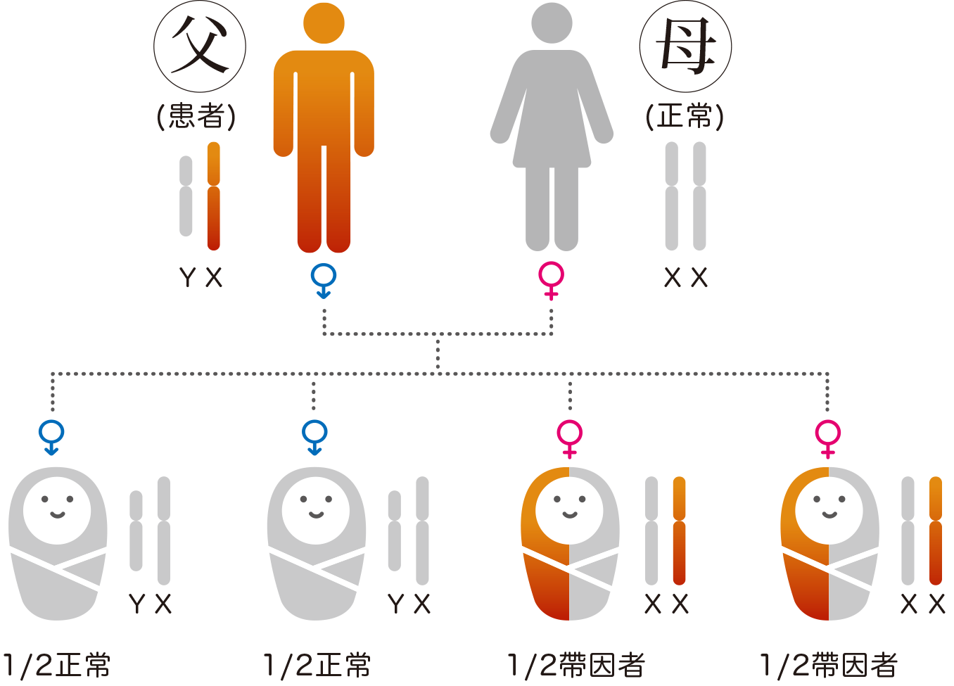 脊髓性肌肉萎縮症檢測